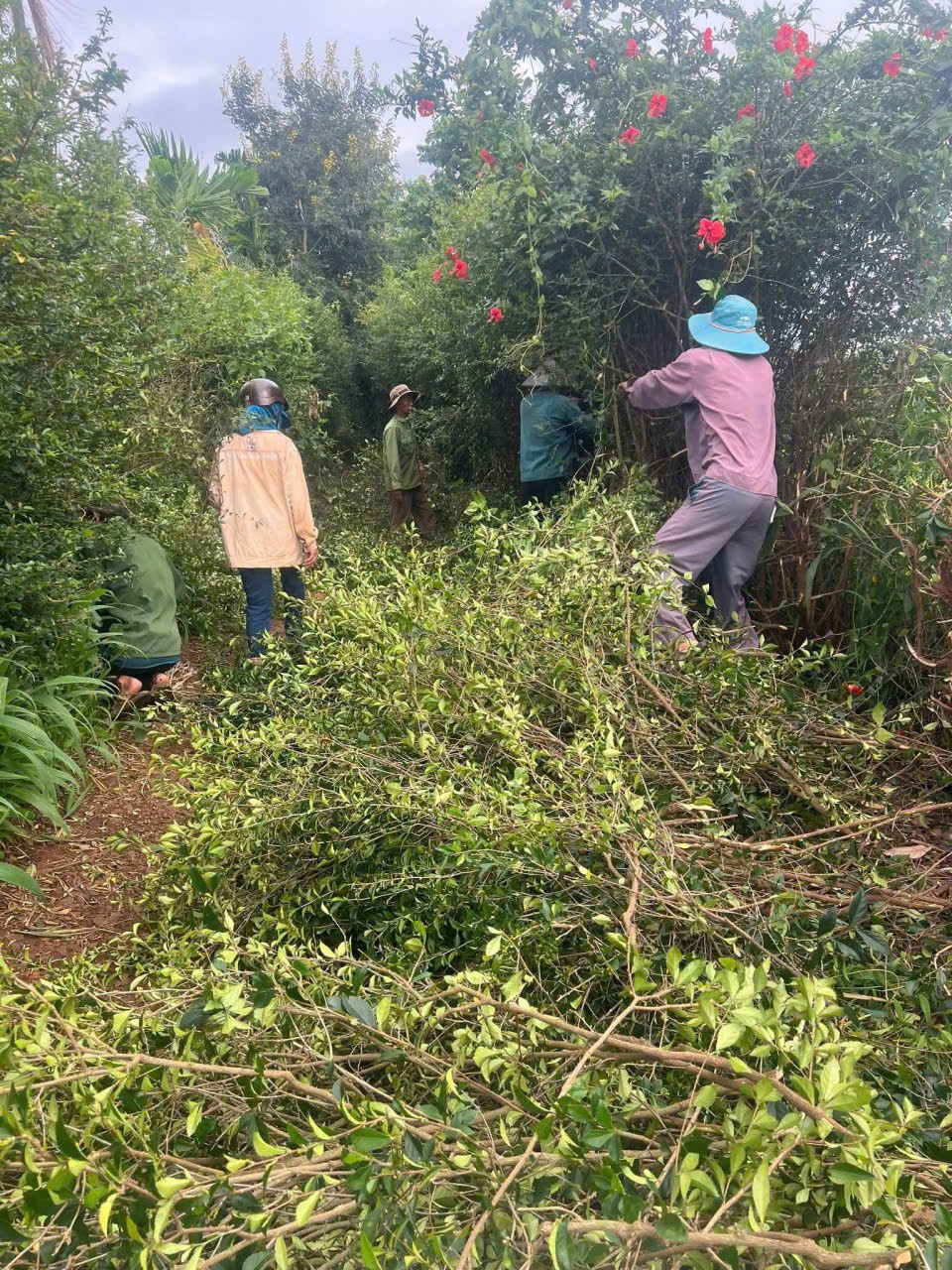 Người dân xã Ea Ning tự nguyện hiến đất, chung sức xây dựng đường giao thông nông thôn
