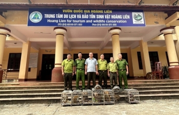 Hải Phòng Bàn giao 9 cá thể động vật hoang dã nguy cấp, quý, hiếm để phục hồi và bảo tồn