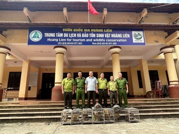 Hải Phòng: Bàn giao 9 cá thể động vật hoang dã nguy cấp, quý, hiếm để phục hồi và bảo tồn