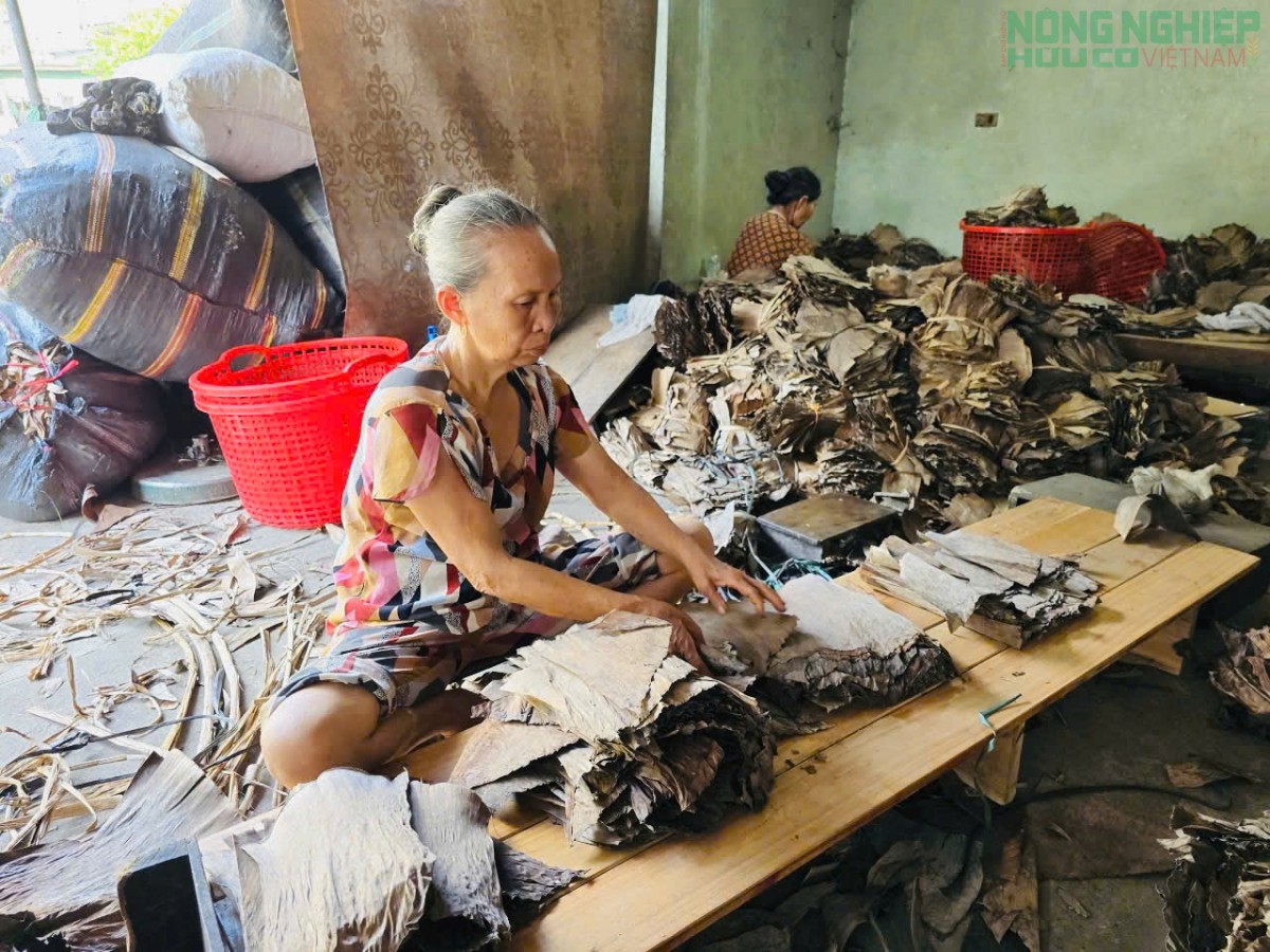 Vĩnh Tường gìn giữ nghề truyền thống làm bánh gai, tạo sinh kế cho người dân