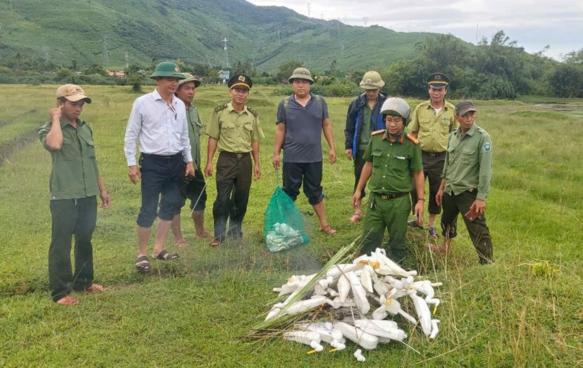 Tp. Huế: Xã Chân Mây - Lăng Cô ra quân xử lý bẫy cò, bảo vệ đa dạng sinh học