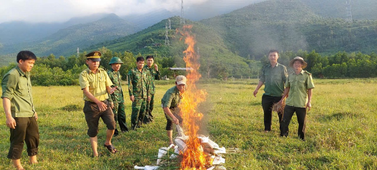 Tp. Huế: Xã Chân Mây - Lăng Cô ra quân xử lý bẫy cò, bảo vệ đa dạng sinh học