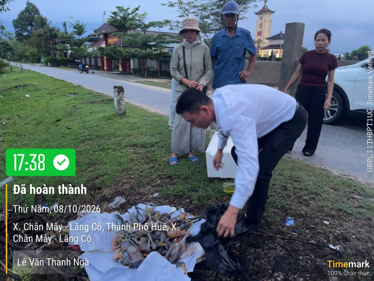 Tp. Huế: Xã Chân Mây - Lăng Cô ra quân xử lý bẫy cò, bảo vệ đa dạng sinh học