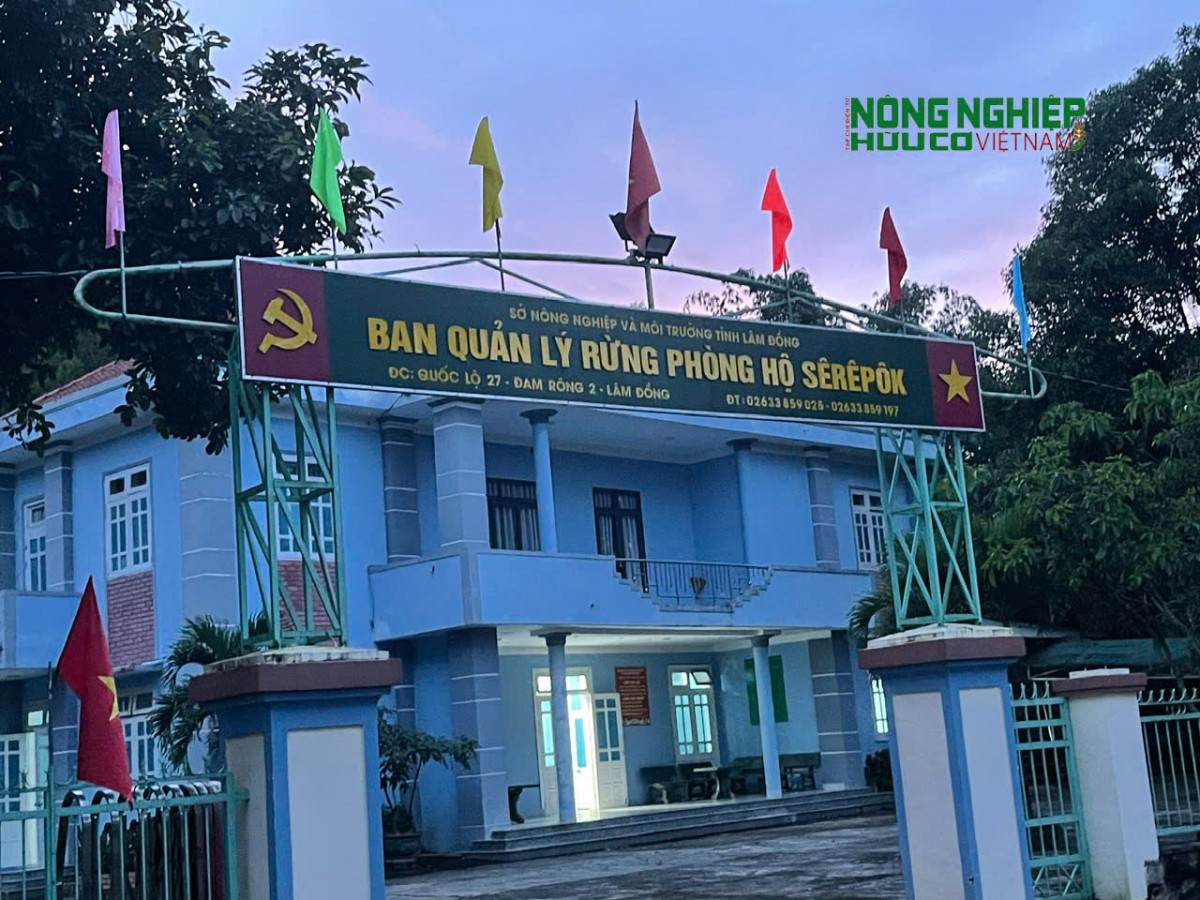 Truy tìm các đối tượng phá rừng do Ban QLRPH Sêrêpôk quản lý