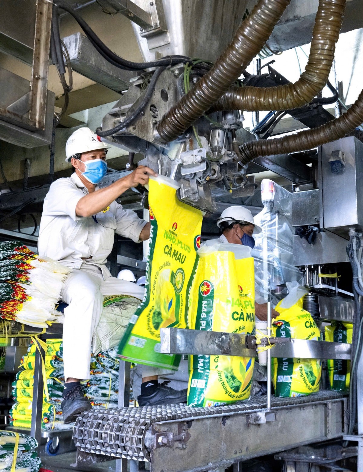 PVCFC thúc đẩy xúc tiến thương mại tại Đông Nam Á