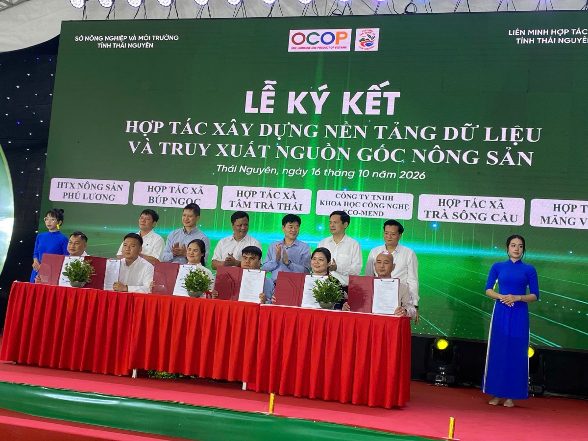 Thái Nguyên: Kết nối cung - cầu, nâng tầm giá trị sản phẩm OCOP