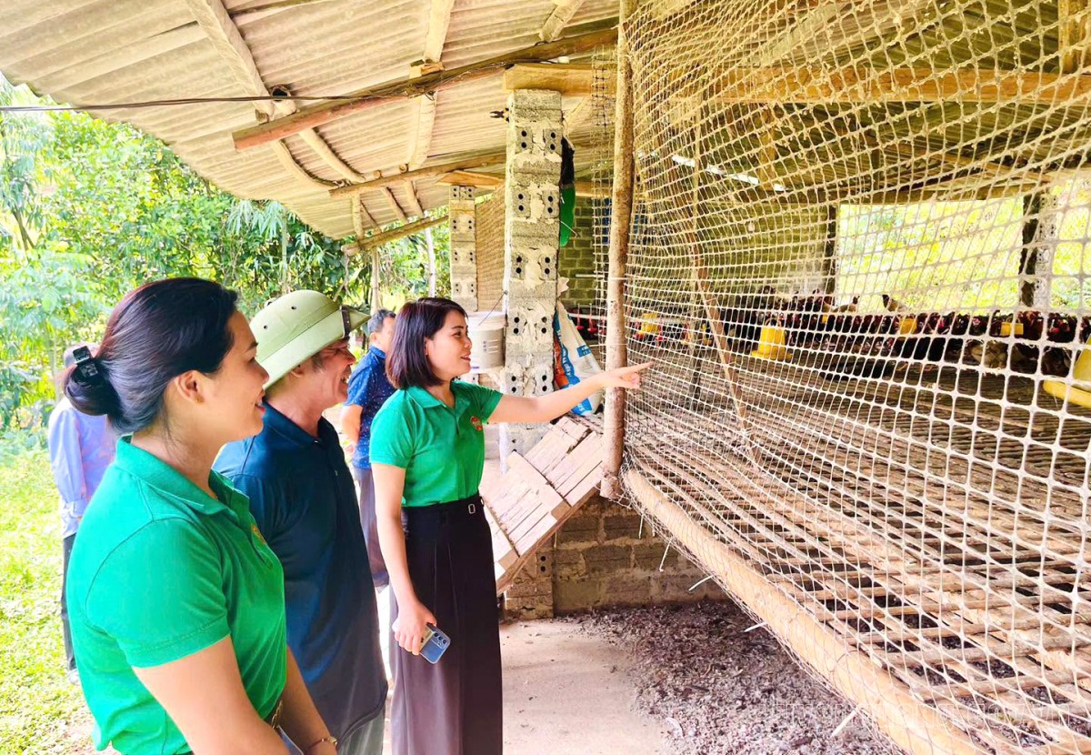 Tuyên Quang: Hội Nông dân đồng hành cùng hội viên phát triển kinh tế