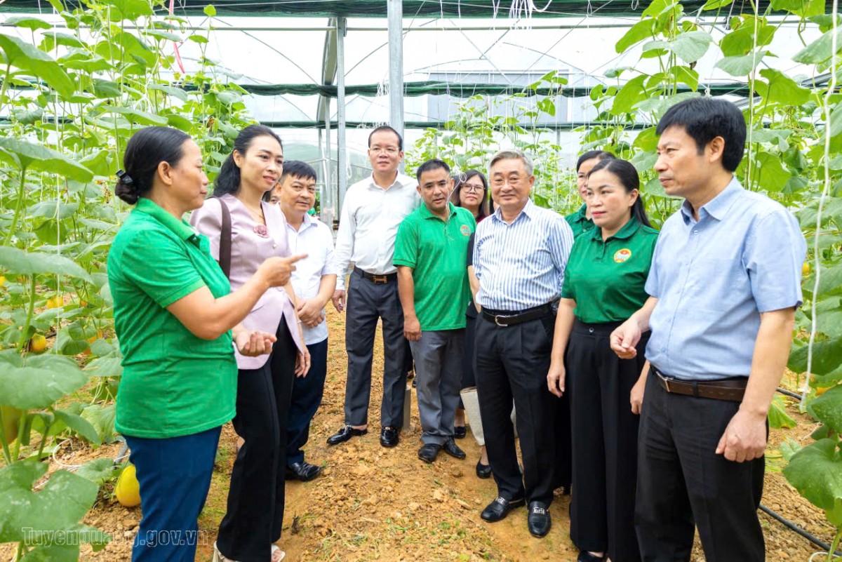 Tuyên Quang: Hội Nông dân đồng hành cùng hội viên phát triển kinh tế