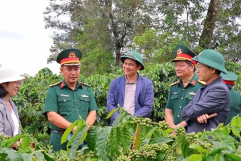Phát triển kinh tế tuần hoàn hướng tới sản xuất cà phê hữu cơ bền vững