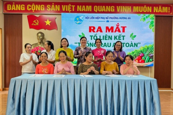 Phụ nữ Hương An thành lập Tổ liên kết trồng rau an toàn, hướng đến sinh kế bền vững