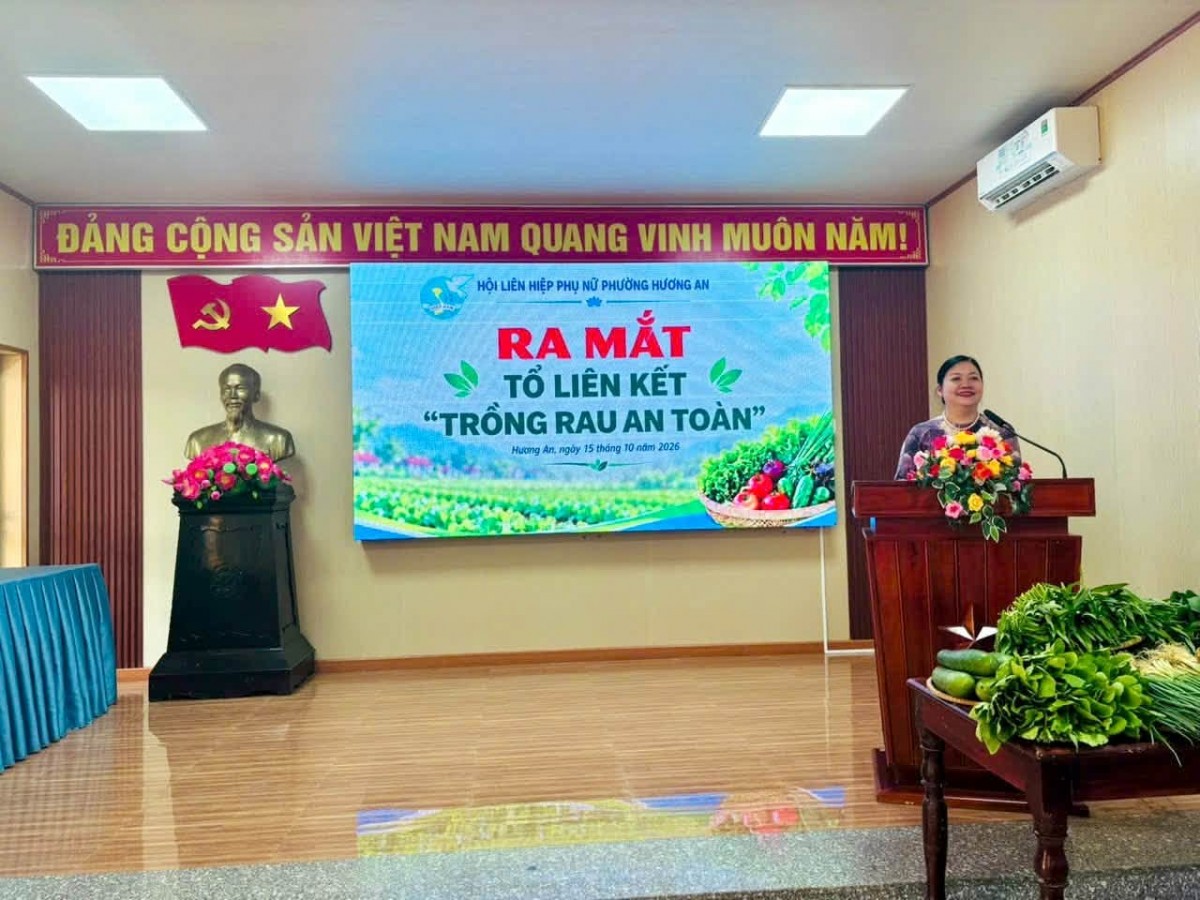 Hương An thành lập Tổ liên kết trồng rau an toàn, hướng đến sinh kế bền vững