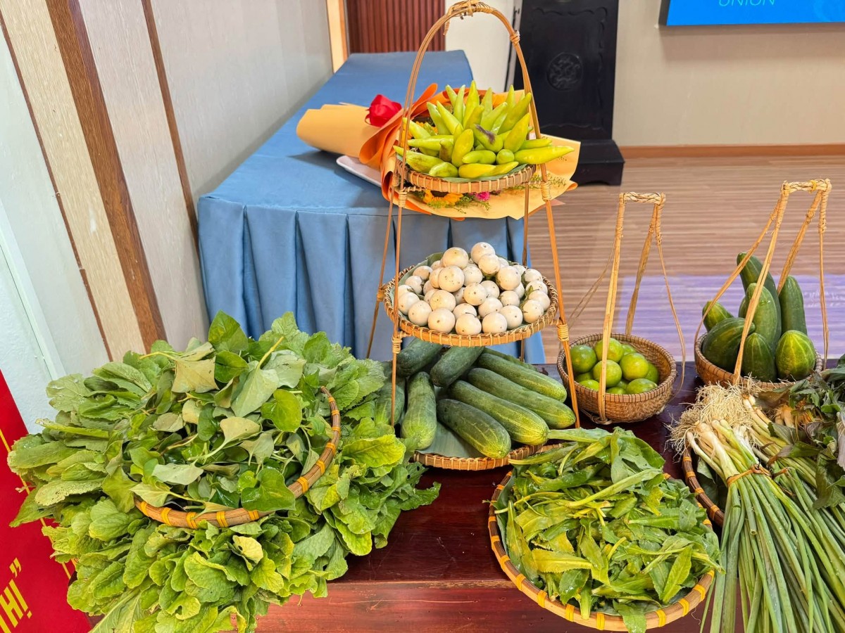 Phụ nữ Hương An thành lập Tổ liên kết trồng rau an toàn, hướng đến sinh kế bền vững