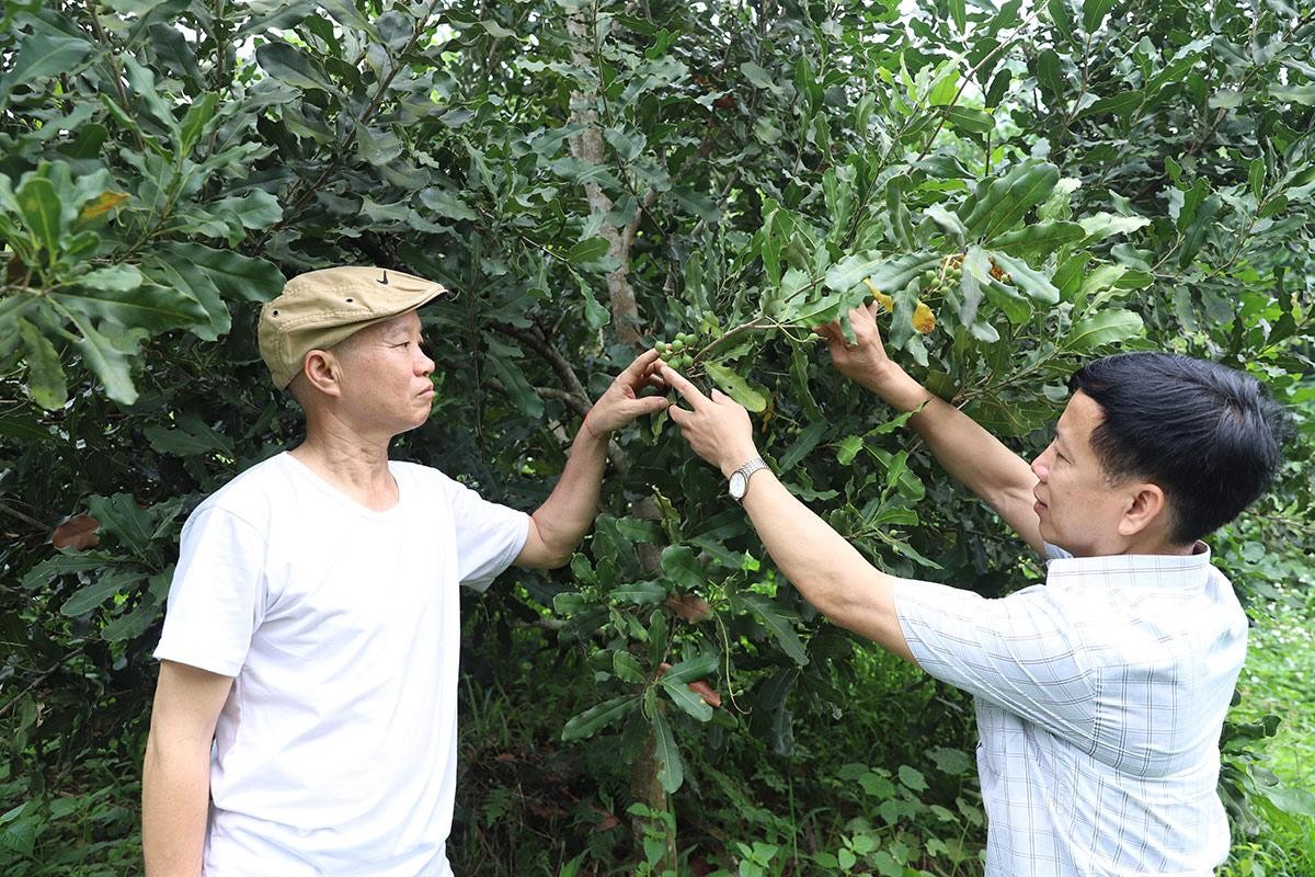 Xã Hùng An thúc đẩy liên kết sản xuất, phát triển nông nghiệp hàng hóa