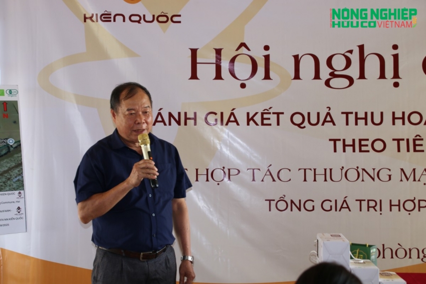 Kiến Quốc phát triển vùng lúa rươi hữu cơ, nâng tầm giá trị nông sản Hải Phòng