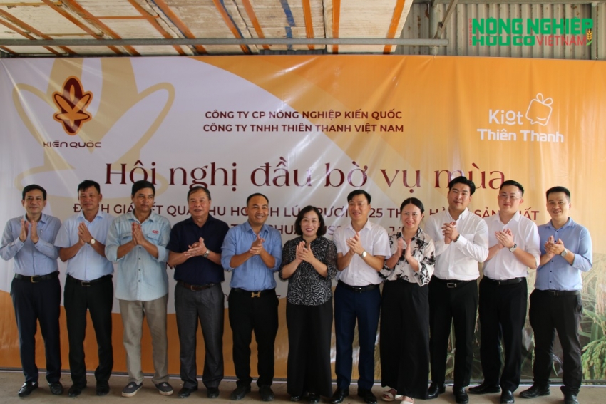Kiến Quốc phát triển vùng lúa rươi hữu cơ, nâng tầm giá trị nông sản Hải Phòng
