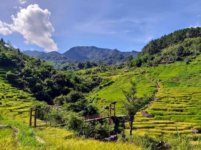Vẻ đẹp trù phú, bình yên của những thửa ruộng bậc thang uốn lượn dưới chân núi Ngọc Linh tại xã Măng Ri – tiềm năng lớn để địa phương phát triển du lịch cộng đồng gắn với bảo tồn cảnh quan tự nhiên.