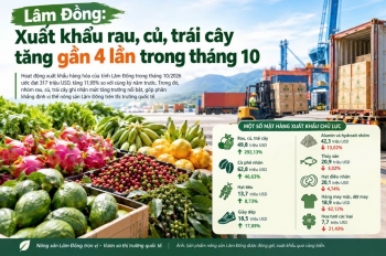 Lâm Đồng: Xuất khẩu rau, củ, trái cây tăng mạnh trong tháng 10