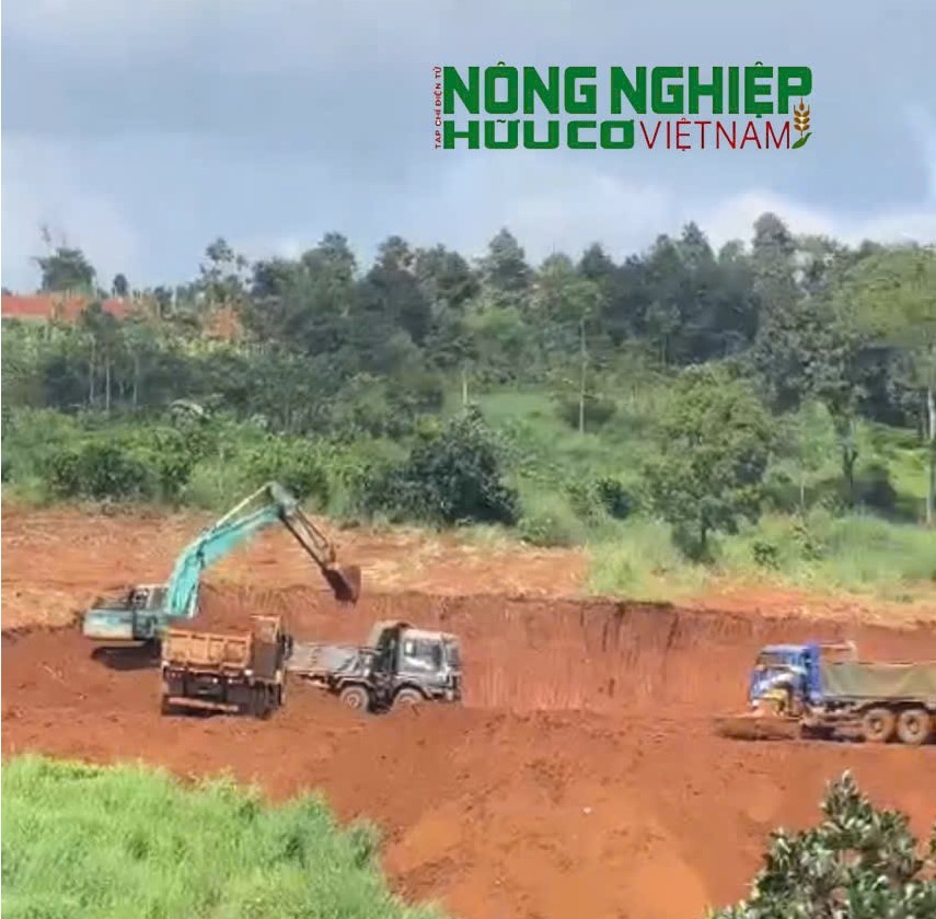Lâm Đồng: Xử phạt 150 triệu đồng với hành vi tự ý san lấp, làm biến dạng đất nông nghiệp