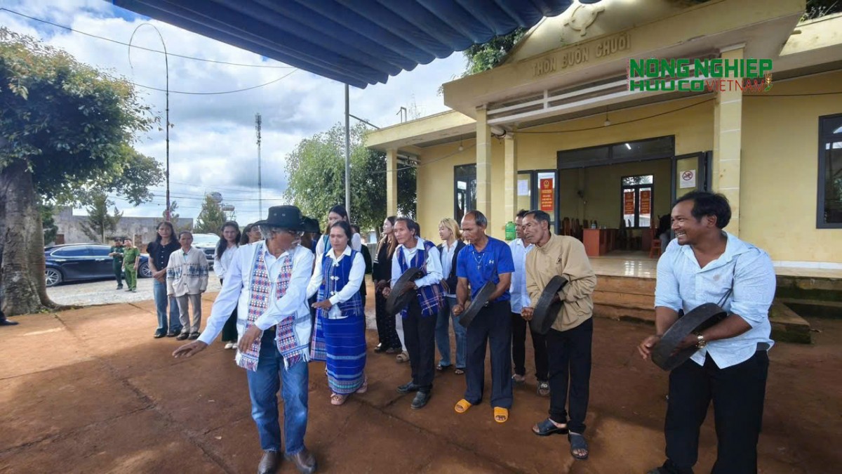 Lâm Đồng: Nam Ban Lâm Hà đẩy mạn bảo tồn văn hóa cồng chiêng gắn với phát triển du lịch cộng đồng