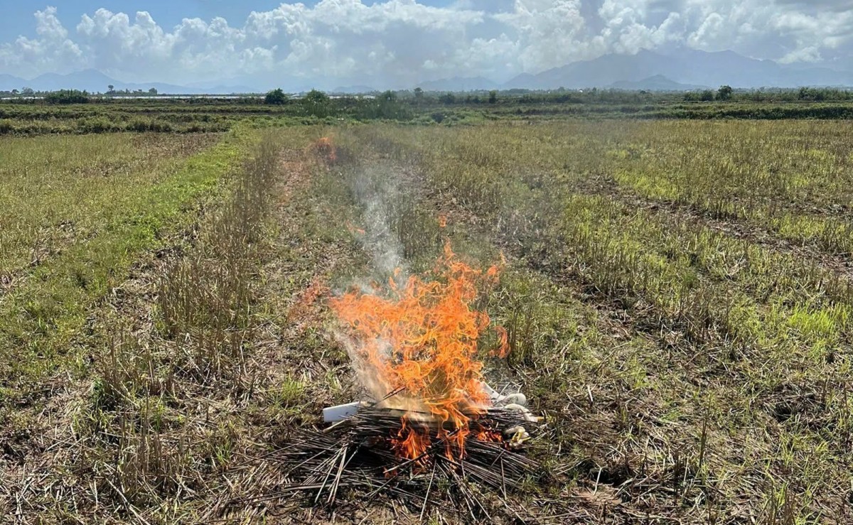 Hưng Lộc tháo gỡ bẫy bảo vệ động vật hoang dã, gìn giữ đa dạng sinh học và môi trường sinh thái.