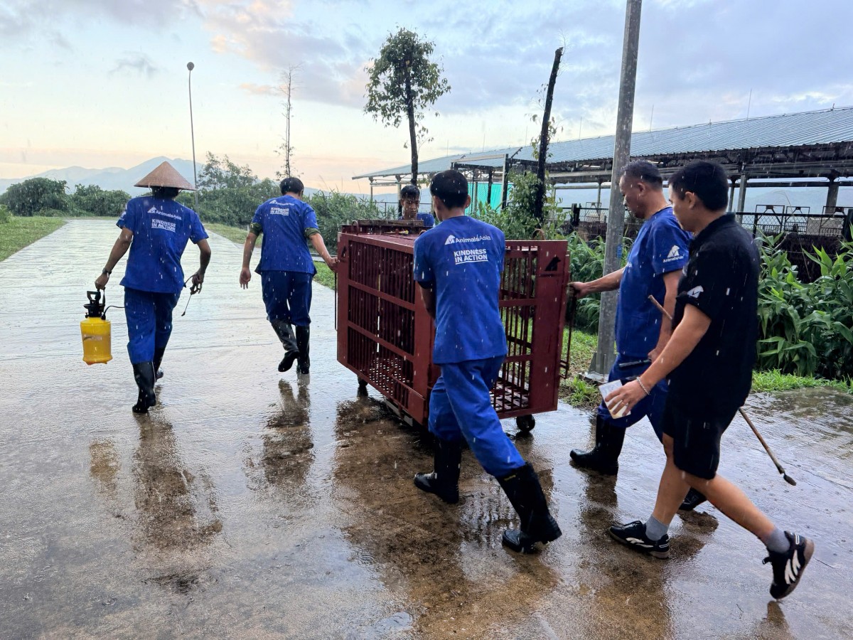 Mỗi cá thể Gấu được chuyển giao - Hệ sinh thái càng được bảo vệ và đa dạng hơn