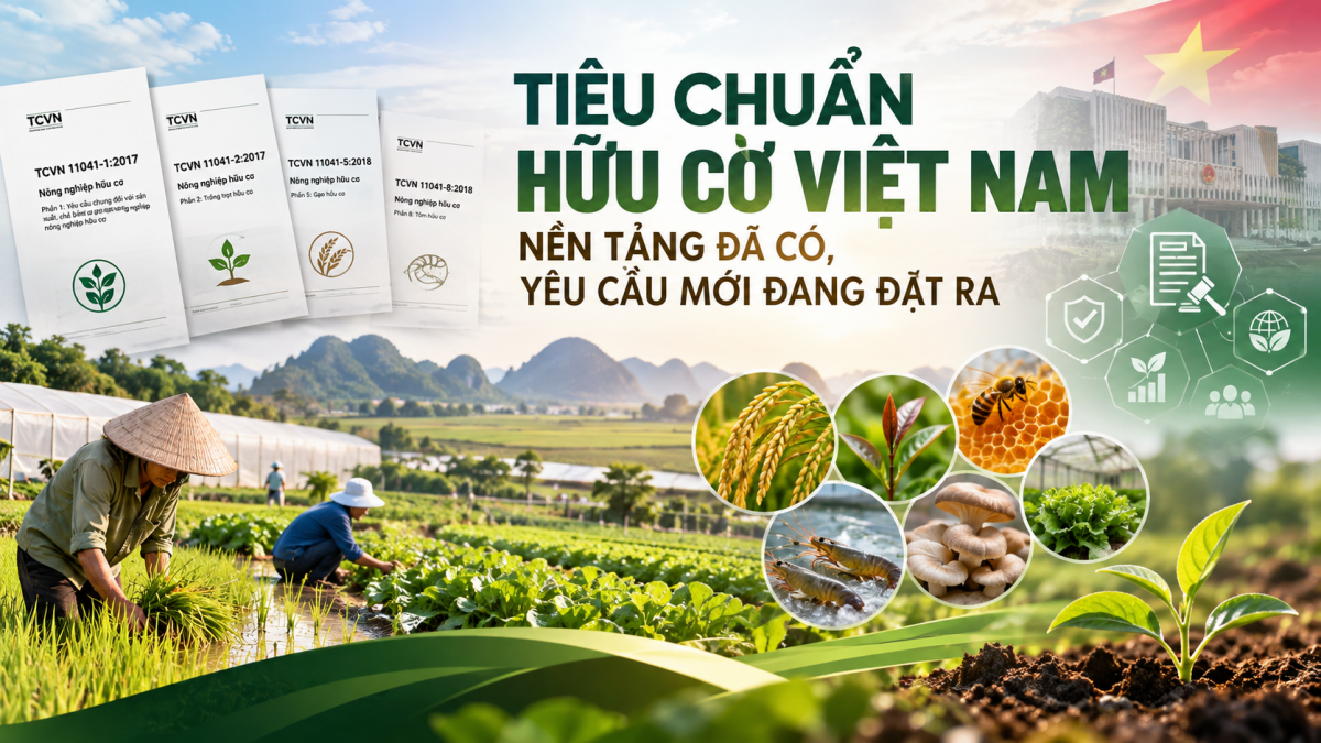 Tiêu chuẩn hữu cơ Việt Nam - Bài 1: Nền tảng đã có, yêu cầu mới đang đặt ra