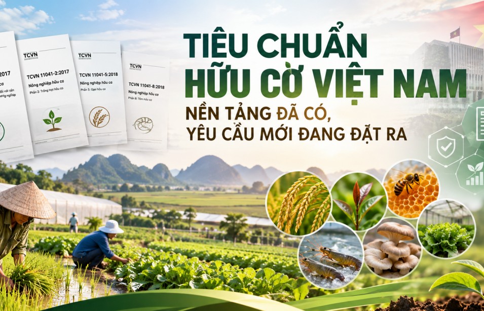 Tiêu chuẩn hữu cơ Việt Nam - Bài 1: Nền tảng đã có, yêu cầu mới đang đặt ra