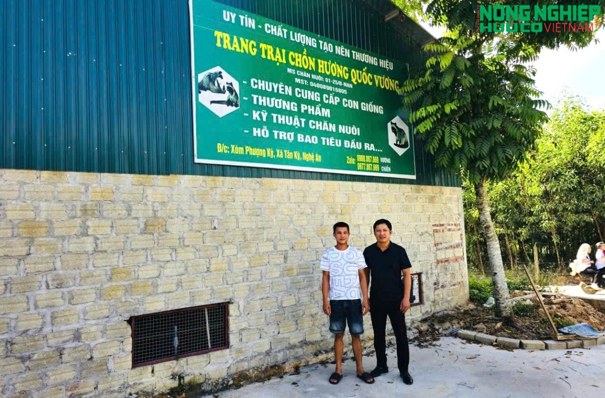 Bỏ nghề thợ mộc, mạnh dạn đầu tư nuôi chồn hương, thu lãi khoảng 2 tỷ đồng mỗi năm