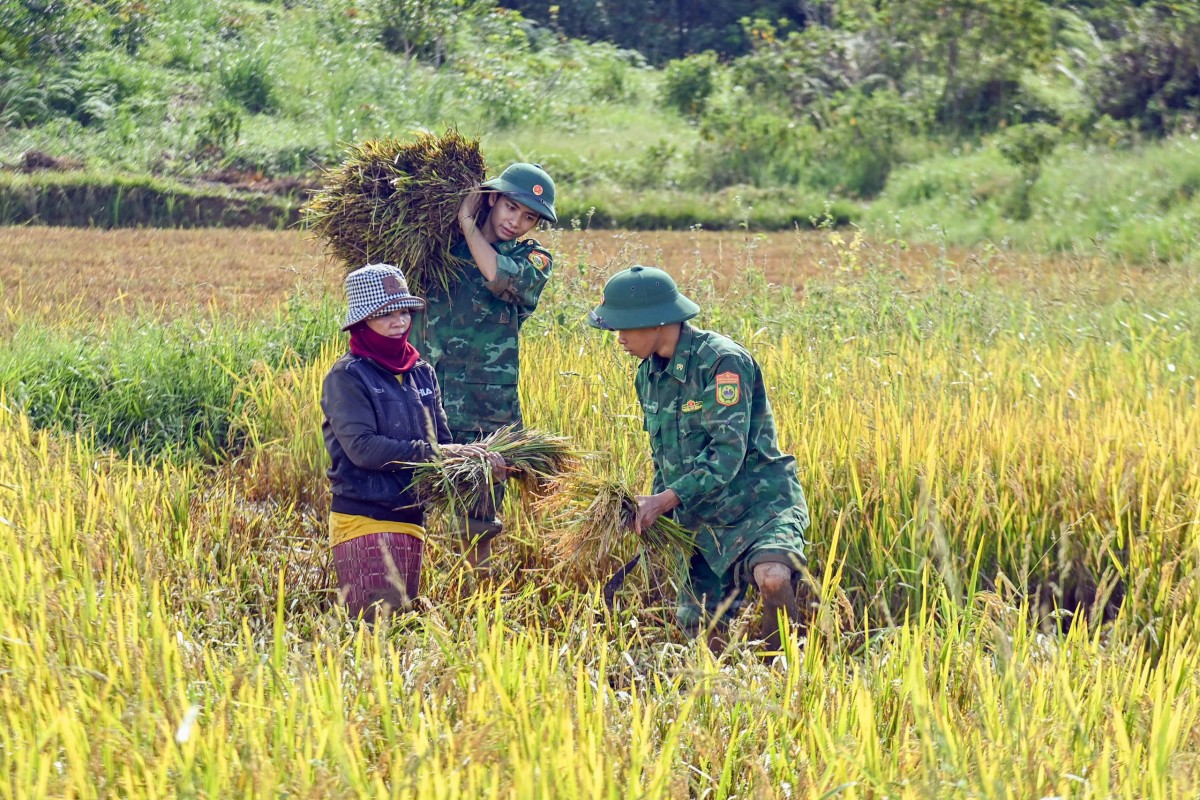 Thành phố Huế cảnh báo dông lốc sét, mưa đá, mưa lớn cục bộ, phòng chống thiên tai và bảo vệ môi trường.
