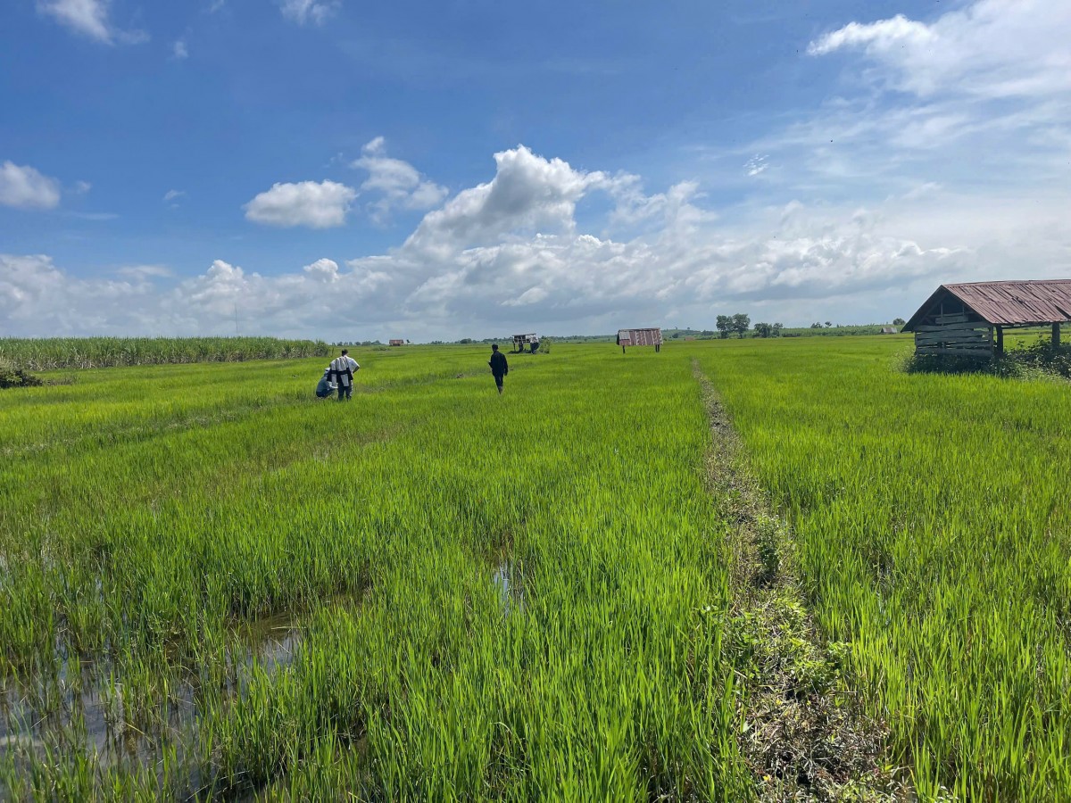 Gia Lai: Ia Hrú phát huy thế mạnh, nâng tầm giá trị nông nghiệp