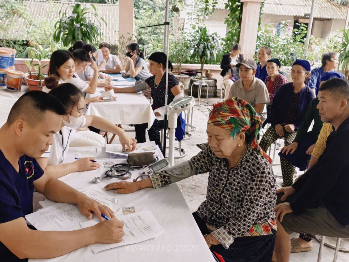 Tuyên Quang: Xã Cán Tỷ phát huy lợi thế nông nghiệp đặc sản, hướng tới phát triển bền vững