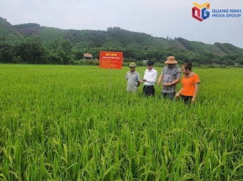 Quảng Ninh đẩy mạnh ứng dụng công nghệ cao, nâng giá trị nông sản .