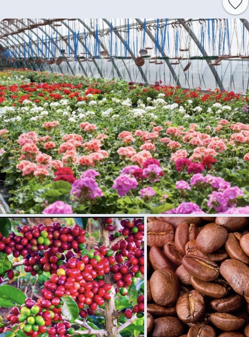 Kiến nghị tháo gỡ 4 điểm nghẽn trong lĩnh vực Trồng trọt và Bảo vệ thực vật