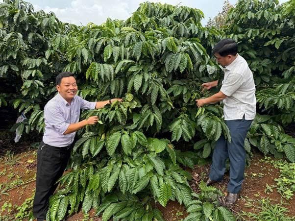 Xã Quảng Trực phát huy lợi thế nông nghiệp, cửa khẩu để phát triển kinh tế vùng biên