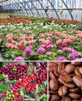 Kiến nghị tháo gỡ 4 điểm nghẽn trong lĩnh vực Trồng trọt và Bảo vệ thực vật