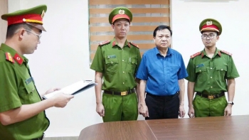 Từ vụ khai thác đất trái phép tại xã Hợp Kim: Bài học về giữ đất rừng và quản lý tài nguyên