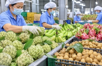 58 thông báo SPS liên quan đến an toàn thực phẩm và kiểm dịch