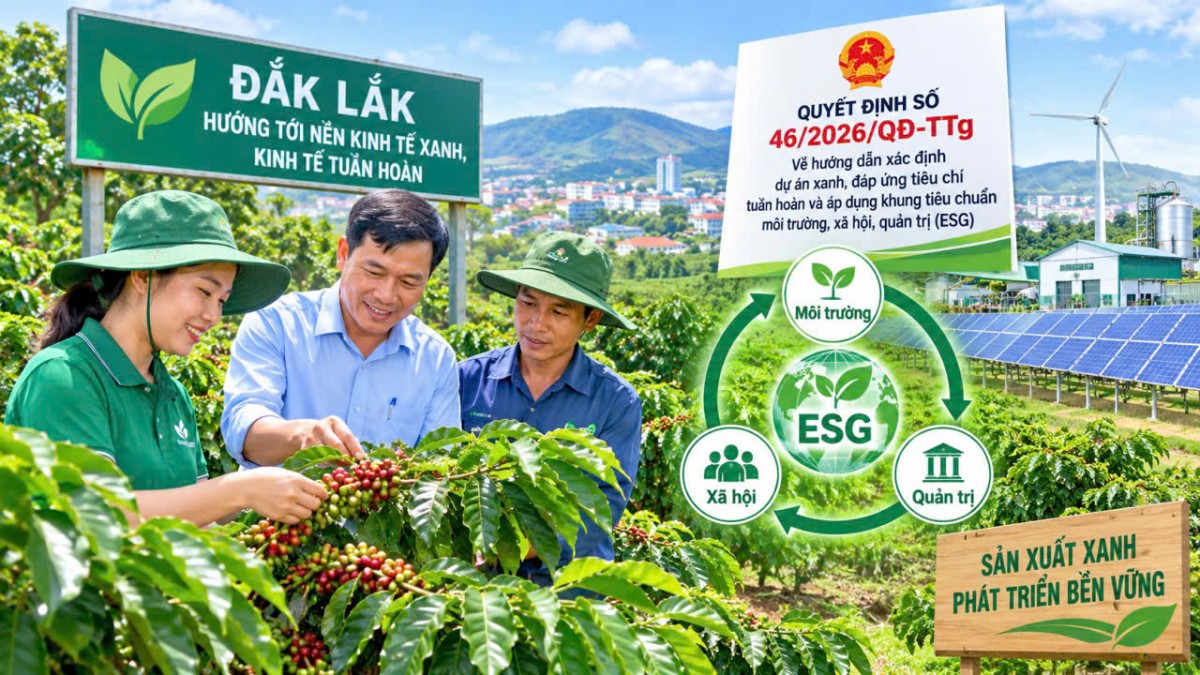 Đắk Lắk triển khai tiêu chí dự án xanh thúc đẩy kinh tế tuần hoàn quản trị ESG bền vững