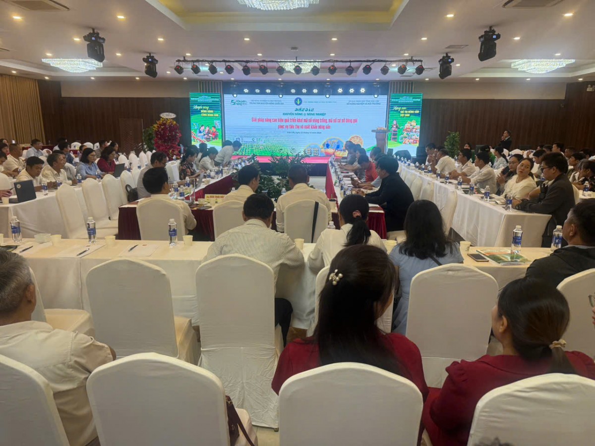 Đắk Lắk phát động chiến dịch 30 ngày đêm chuẩn hóa sầu riêng, nâng chất lượng xuất khẩu