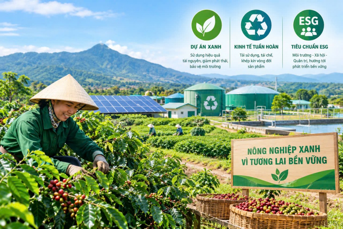 Đắk Lắk triển khai tiêu chí dự án xanh thúc đẩy kinh tế tuần hoàn quản trị ESG bền vững