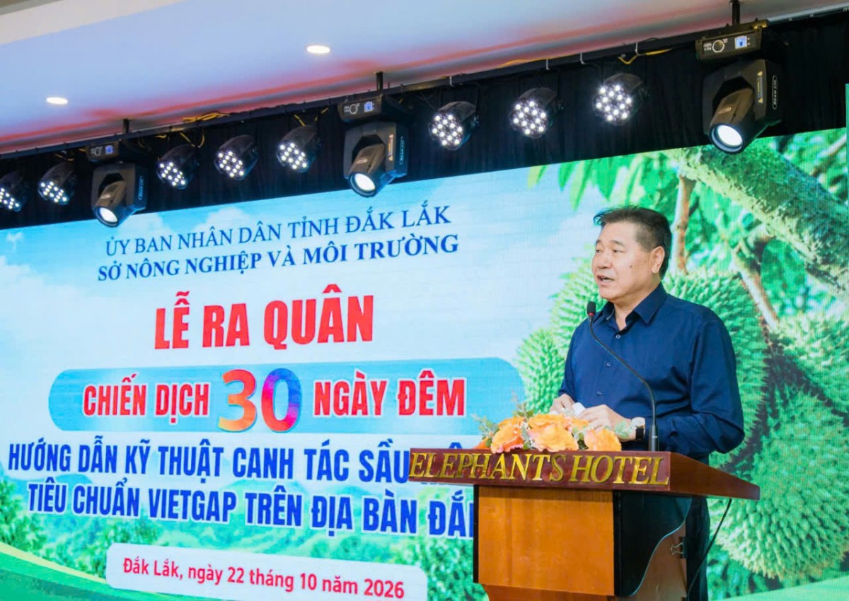 Đắk Lắk phát động chiến dịch 30 ngày đêm chuẩn hóa sầu riêng, nâng chất lượng xuất khẩu