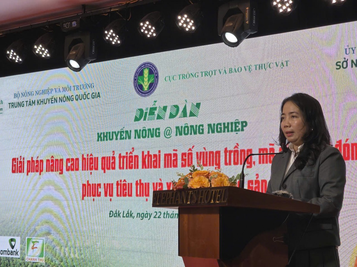 Đắk Lắk phát động chiến dịch 30 ngày đêm chuẩn hóa sầu riêng, nâng chất lượng xuất khẩu