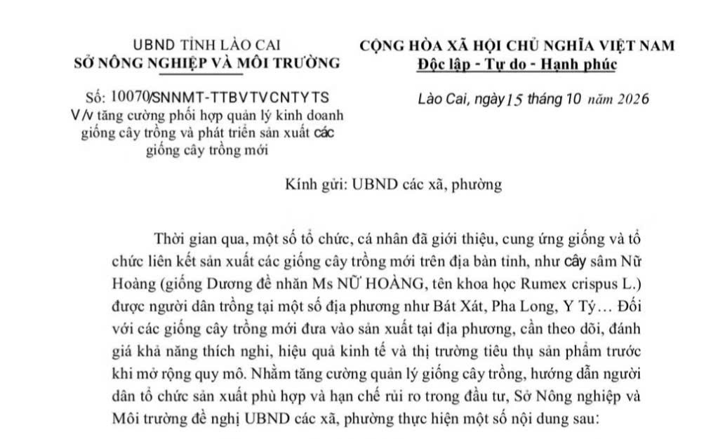 Lào Cai: Cảnh báo rủi ro khi tự phát mở rộng diện tích các giống cây trồng mới