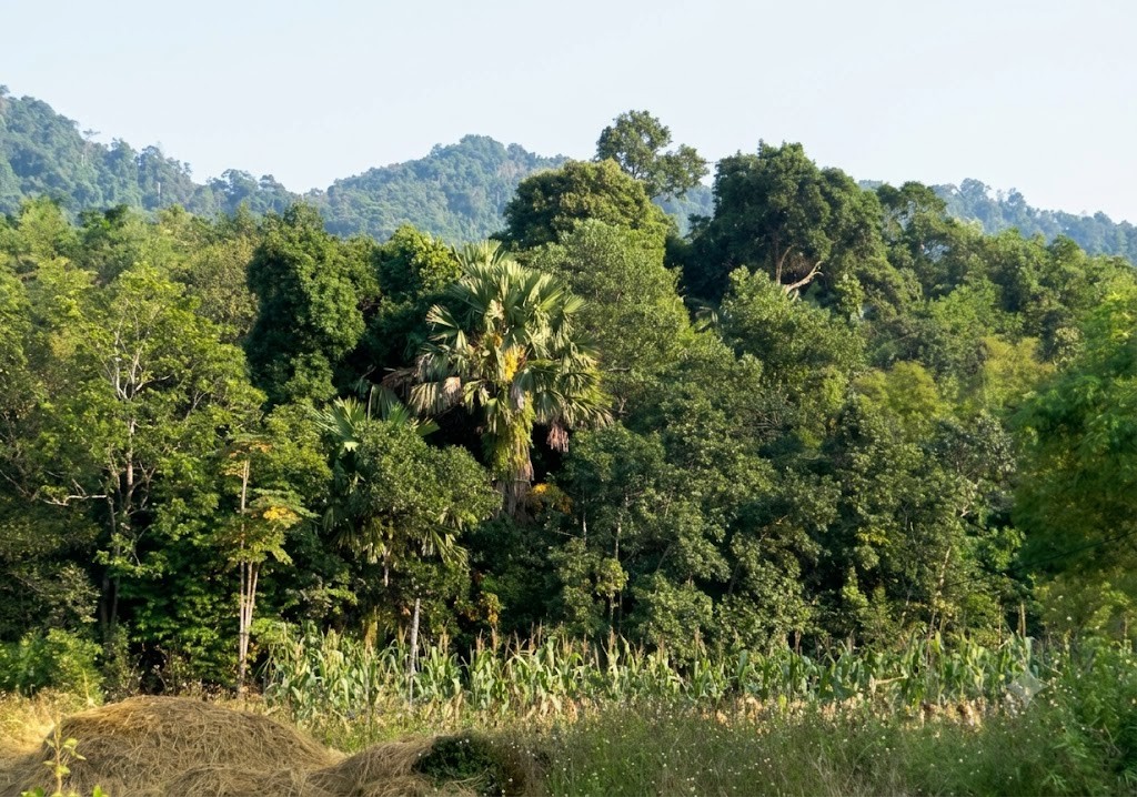 Phường Hà Giang I phát triển hài hòa từ quê ra phố