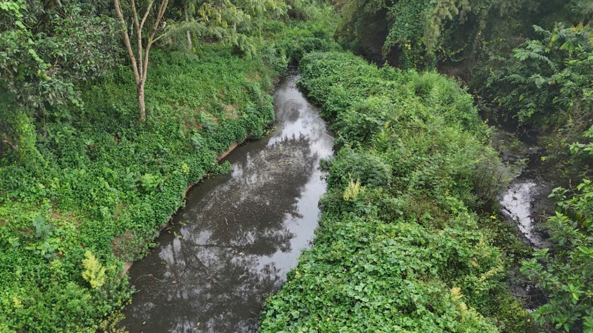 Đắk Lắk siết chặt quản lý môi trường chăn nuôi, thúc đẩy phát triển tuần hoàn bền vững