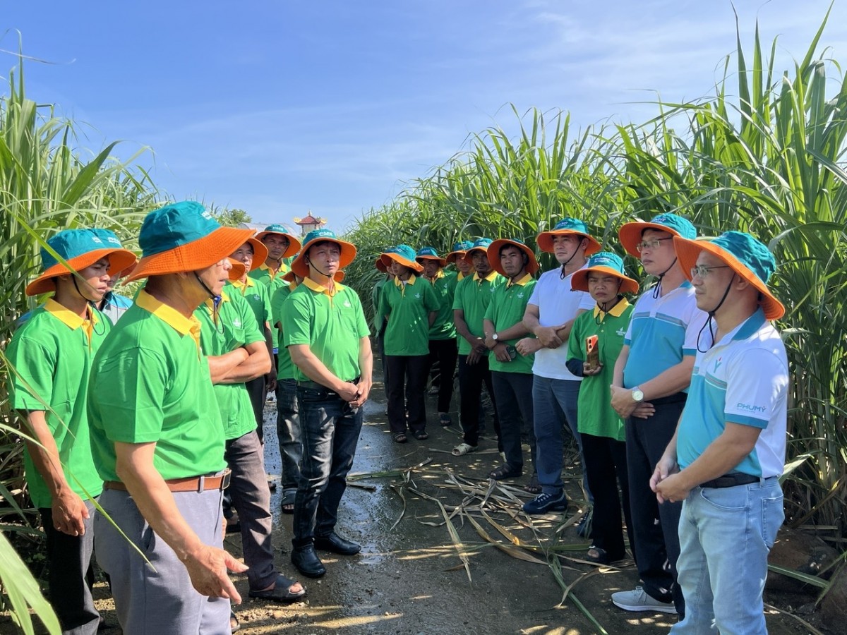 PVFCCo – Phú Mỹ duy trì đà tăng trưởng, mở rộng không gian phát triển