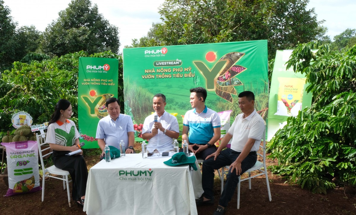 PVFCCo – Phú Mỹ duy trì đà tăng trưởng, mở rộng không gian phát triển