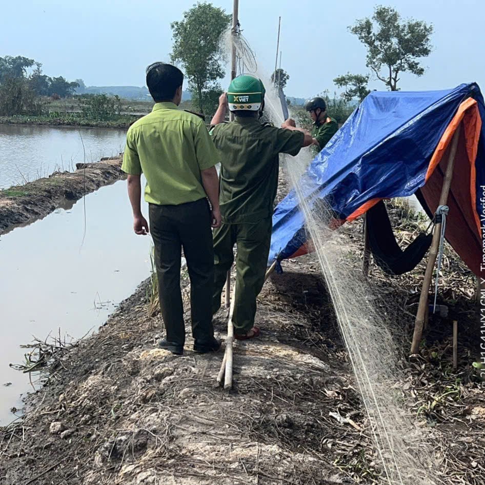 Tây Ninh: Khởi tố 2 bị can liên quan vụ việc 201 cá thể động vật hoang dã