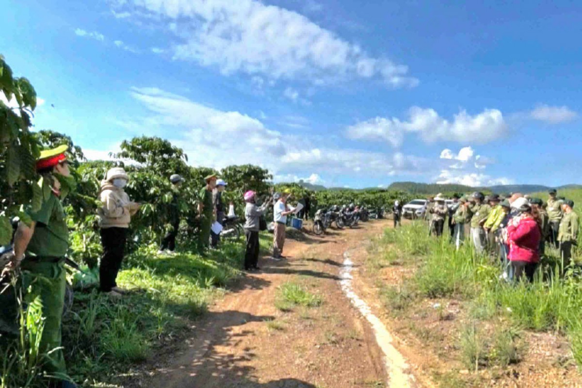 Đắk Lắk thu hồi đất lâm nghiệp bị lấn chiếm tăng cường bảo vệ rừng, phát triển bền vững