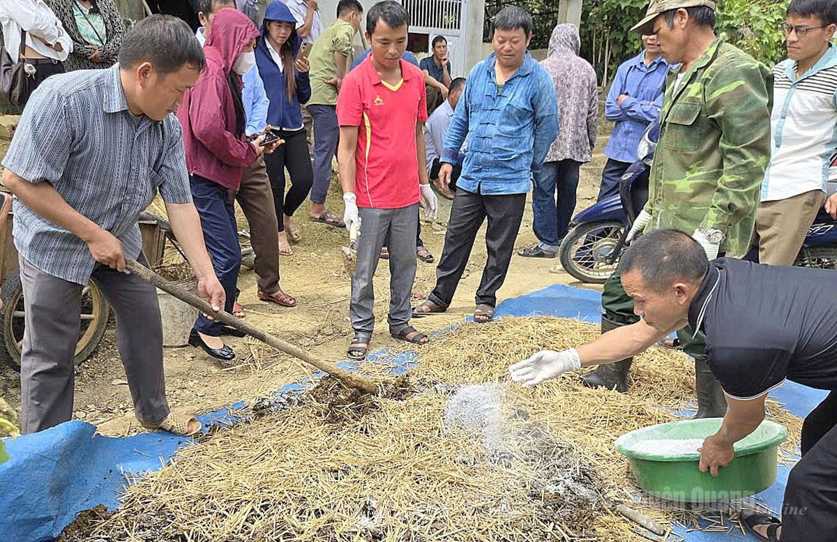 Nâng cao năng lực sản xuất nông nghiệp cho 150 học viên tại Tuyên Quang